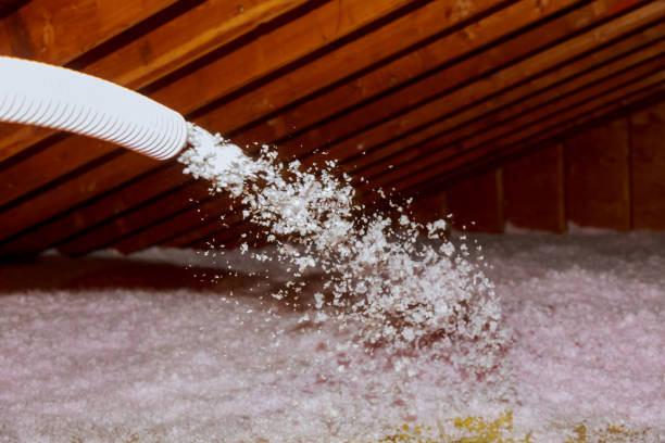 Best Spray Foam Insulation  in Jonesville, VA