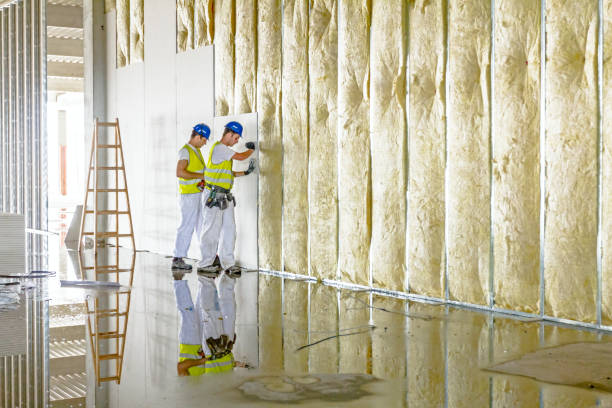 Best Soundproof Insulation Installation  in Jonesville, VA